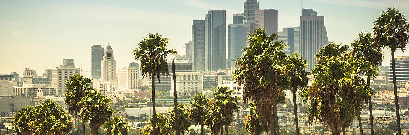 We're Social